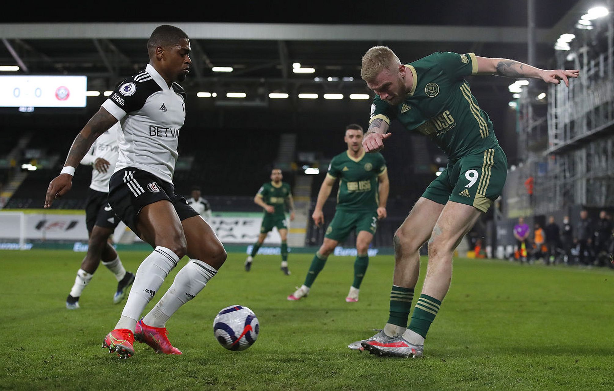 拉菲尼亚的 拉菲尼亚的